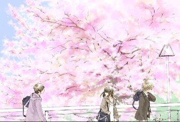 一清二楚不遮不挡毛毛虫